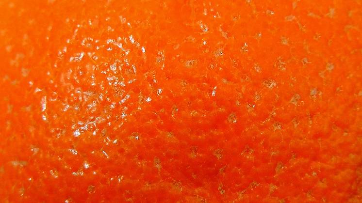 Апельсиновая корка апельсиновая корка