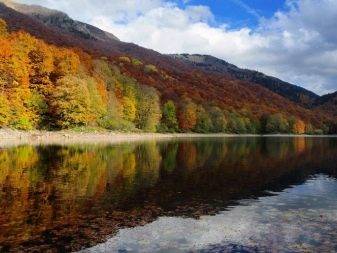 Чорногорія восени: погода в Тіваті та інших містах у жовтні і листопаді. Особливості пляжного відпочинку