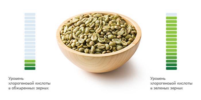 Користь і лікувальні властивості зеленої кави