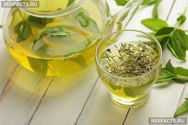 Маска із зеленого чаю для особи (рецепти) Маска із зеленого чаю для особи (рецепти)