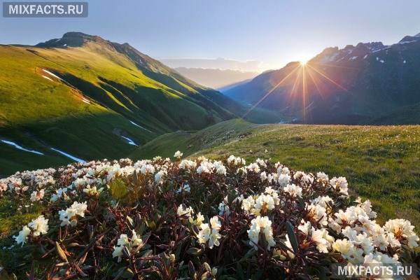 Пам’ятки в Архиз: що подивитися туристам? (фото) Пам’ятки в Архиз: що подивитися туристам? (фото)