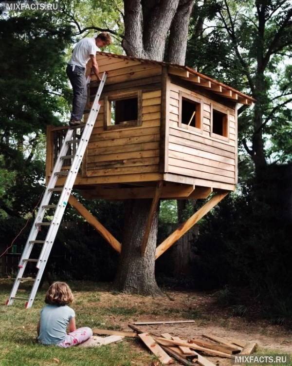 Як зробити будиночок на дереві своїми руками?