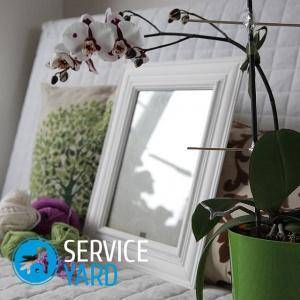 Рамка для картини своїми руками з стельового плінтуса