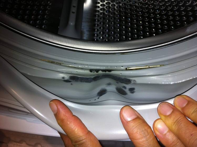 Як почистити гумку в пральній машині-автомат